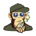 Bongaily Online Headshop Store Coupons & Promo Codes