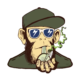 Bongaily Online Headshop Store Coupons & Promo Codes