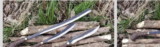 Precision and Savings: Bodark Tool, LLC Exclusive 20% Off Deal!