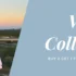 Unlock Savings: Enjoy 4% Off with vidyapeethlibrary Promo Code
