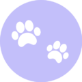 LovelyPawly Coupons & Promo Codes